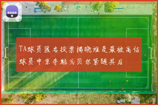 TA球员匿名投票揭晓谁是最被高估球员申京夺魁戈贝尔紧随其后
